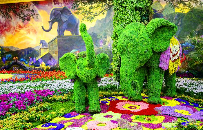 南亚花卉博览中心