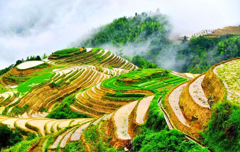 龙脊梯田