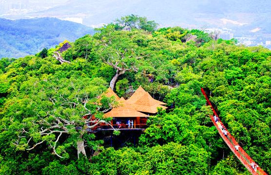 亚龙湾热带天堂森林公园