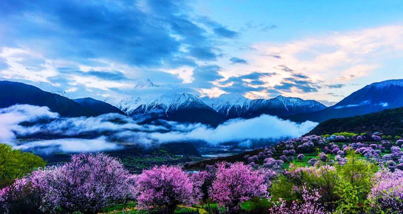 雅鲁藏布江大峡谷