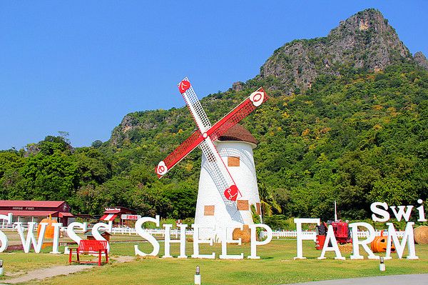 华欣瑞士绵羊牧场