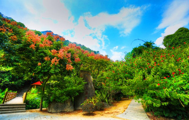 丹尼农国家森林公园