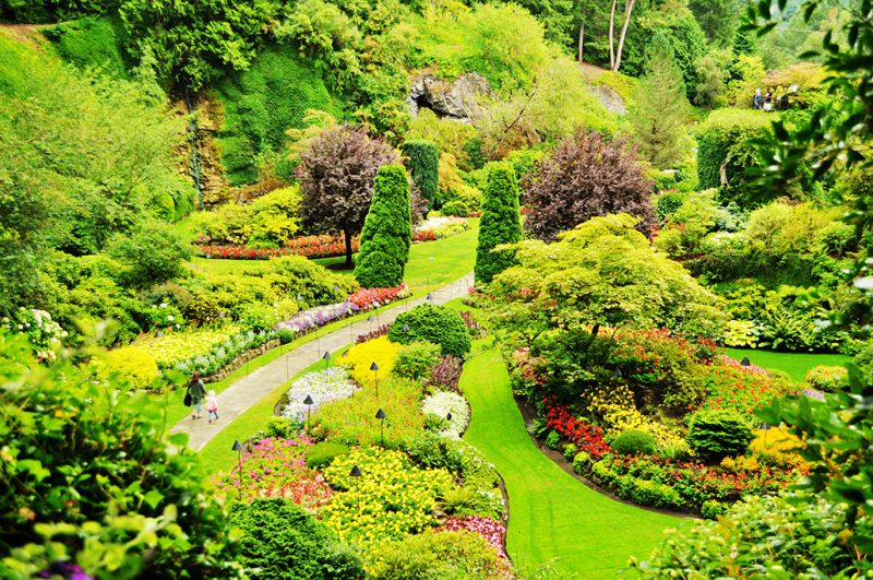 悉尼皇家植物园