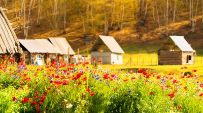 喀纳斯+哈巴河+白哈巴+禾木+五彩滩+乌尔禾魔鬼城+可可托海 深度9日游