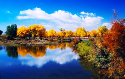 新疆喀什卡拉库里湖、达瓦昆沙漠、泽普胡杨林、市内 双飞4日游（全程无自费景点）