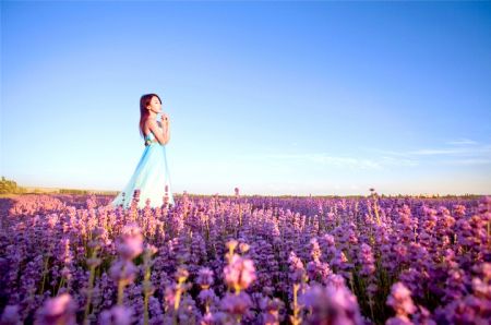 独库公路+S101国防公路+北疆全景：可可托海、可可苏里、五彩滩、喀纳斯、禾木、魔鬼城、五彩滩、赛里木湖、薰衣草、巴音布鲁克、那拉提、喀拉峻、夏塔、天山天池环线12日游